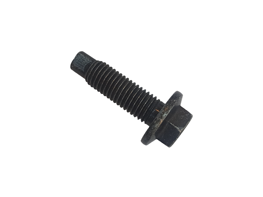 Screw